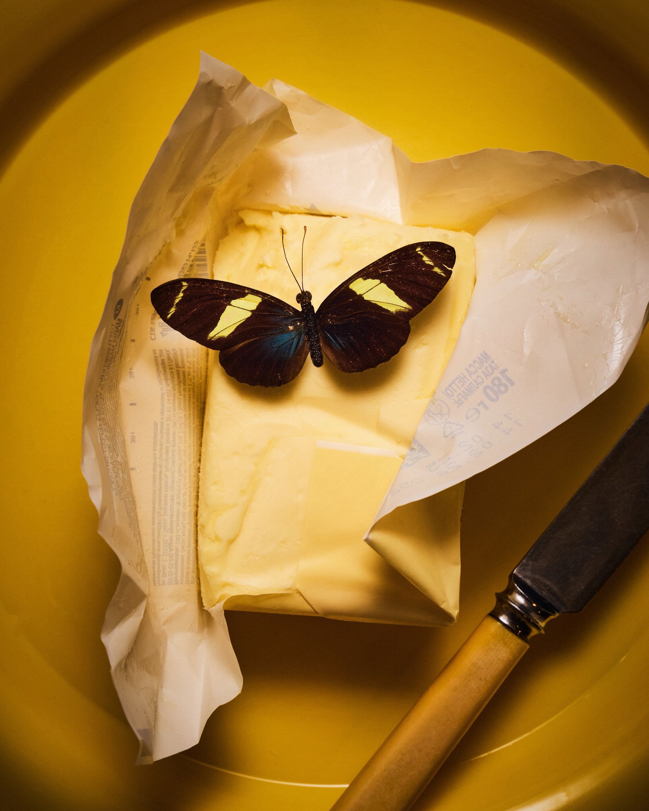 A butterfly resting on an open stick of butter in its wrapper, beside a knife on a yellow plate.