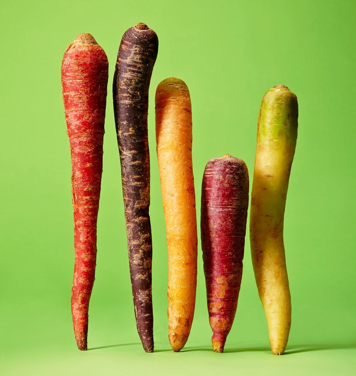 Five rainbow carrots in red, purple, orange, magenta and yellow standing upright on a green background.